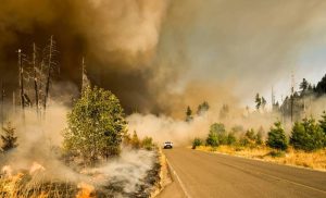 AI is the new firefighter against wildfires