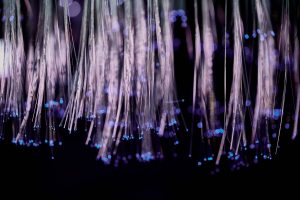 Glowing fiber optic strands against a dark background