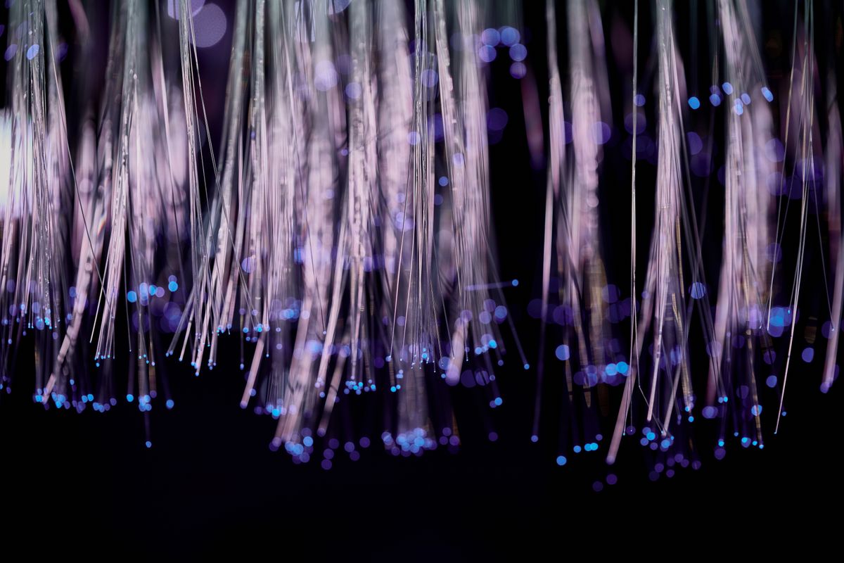 Glowing fiber optic strands against a dark background